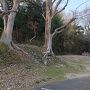 土塁あと