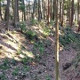 Ⅰ郭の空堀