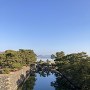 展望台から