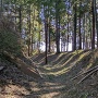 横堀と土塁(北側から西側)