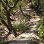 犬戻り猿戻り