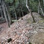 大土塁