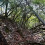 最北端の堀切