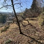 今城・本丸土塁の背後