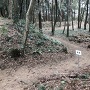 虎口