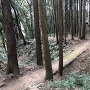 土橋