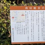 案内板