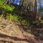 城址風景[提供：宮崎市教育委員会]