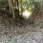 二郭横矢