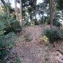 堀田城 本曲輪風景