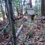 北部にある祠