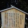 名古屋城より古い かやの木(天然記念物)の看板