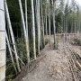 二の丸の土塁