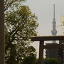石濱神社鳥居越しに見る、現代の物見櫓