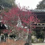 鐘楼