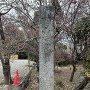 城址石柱