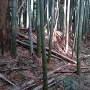 主郭土塁