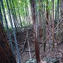 2郭西側の空堀