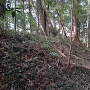 2郭の土塁