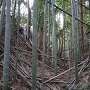 主郭を囲む空堀