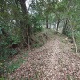 主郭手前の土橋