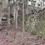 追手門・三重櫓跡の石垣