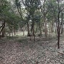 本丸跡