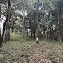 二の丸跡
