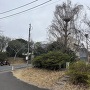 城址跡