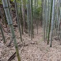 竪堀