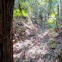 主郭と2郭を隔てる空堀