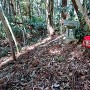 土塁上の祠②