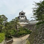 東側、杉の段辺りからの天守