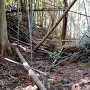 主郭北側の空堀