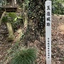 標柱