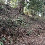IIの曲輪の土塁