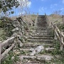 副郭虎口