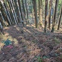 五段切岸
