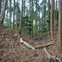 堀切
