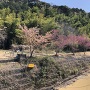 かつての登城口