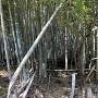 登城口