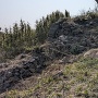 集石遺構