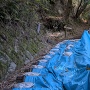 登城道