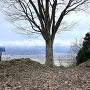 主廓土塁