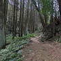 大土塁