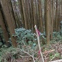 小松ケ城先の土橋