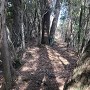 Ⅲ郭跡　(下から)