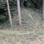 土塁と堀