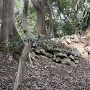 馬責め馬場跡石垣