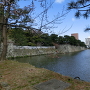 東掘